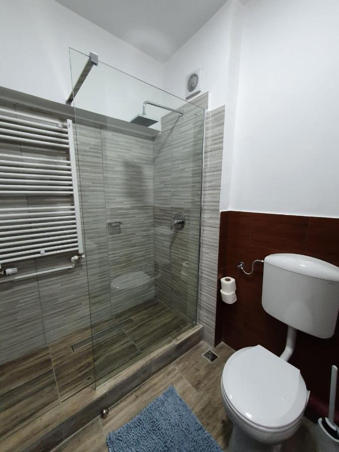 Petrosani Camere De Inchiriat - Hotel Petroshani Srl מראה חיצוני תמונה