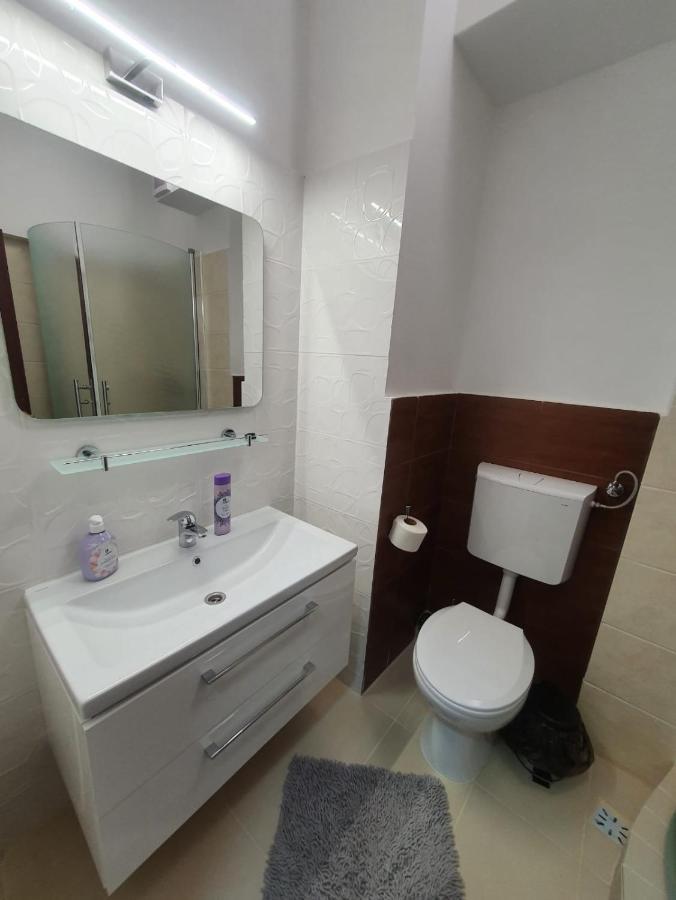 Petrosani Camere De Inchiriat - Hotel Petroshani Srl מראה חיצוני תמונה